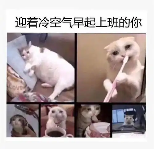 最低2海丰迎来2021第一波强冷空气
