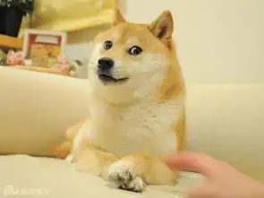 梁静茹撞脸神烦狗doge超级英雄躺枪遭ps
