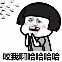 表情丨夏天我独得蚊子恩宠动图睡觉
