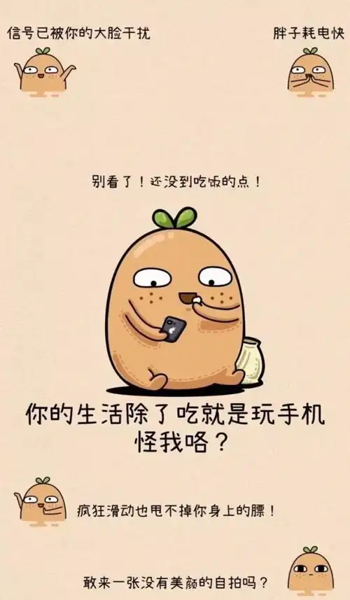 让你心动的壁纸散场是常态,我们也不例外
