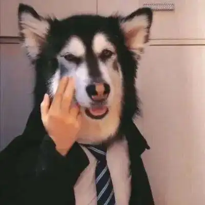 今日头像丨你见我时我一生用尽
