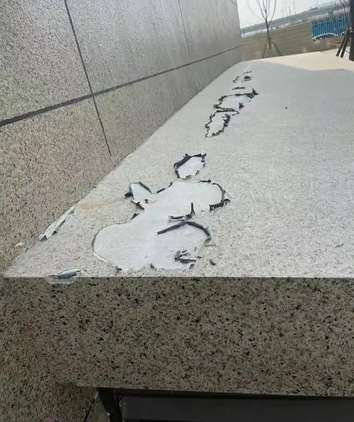 搞笑图片人生第一次养小猫,可它不吃也不闹,是不是抑郁了呢
