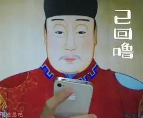 有意思吧朕快被你们玩坏了毫无违和感的神表情
