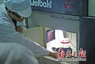 他们的任务竟然是生产蚊子然后让蚊子绝后
