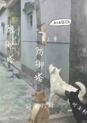 最新异世大陆小说,小说排行榜免费
