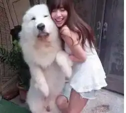搞笑gif趣图哇噻,这妹子是如何做到的啊
