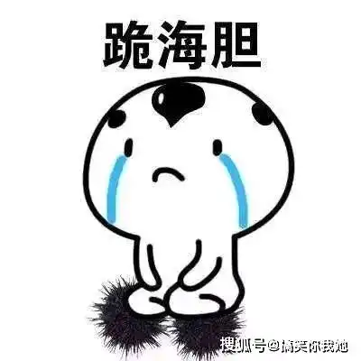 开心一刻笑话老妹突然问我,当初怎么追上如花似玉的嫂子的
