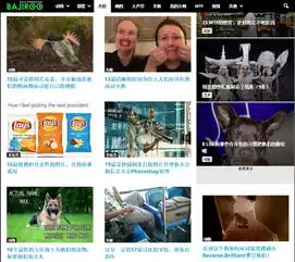 bajiroo搞笑图片和视频分享网
