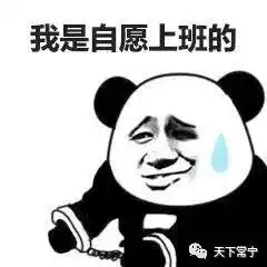 雨水润物细无声,是时候打起精神工作啦
