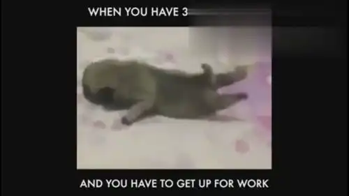 爆笑vines精选当你只睡3小时但必须早起上班
