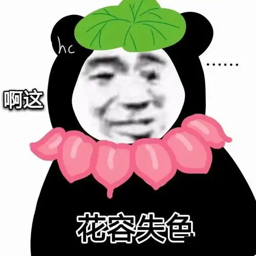 熊猫头表情包i等等我我瓶子快捡够了
