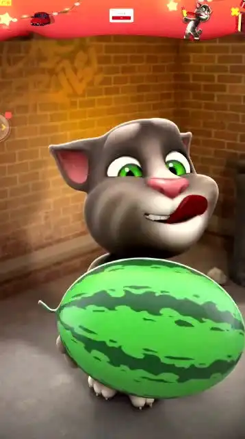 搞笑动画汤姆猫爆笑吃西瓜曾经火爆一时的汤姆猫记得吗

