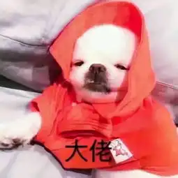 有没有这个图片的对应情头
