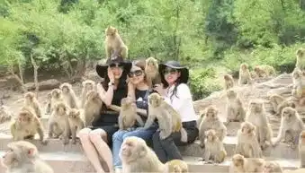 明天,河南这些地方统统不要钱了错过等1年......
