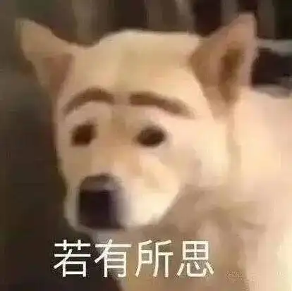 亏钱卖假货,贷款搞诈骗
