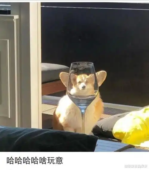 表姐你老是躺在我床上干啥,今晚想在这睡

