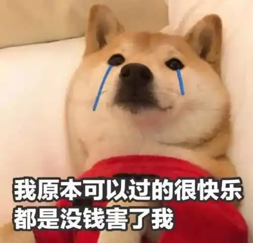 欢笑集锦我养儿养这么大了,用用他月票怎么不行了
