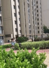搞笑gif趣图妹子本想拍个照,谁知队友出损招
