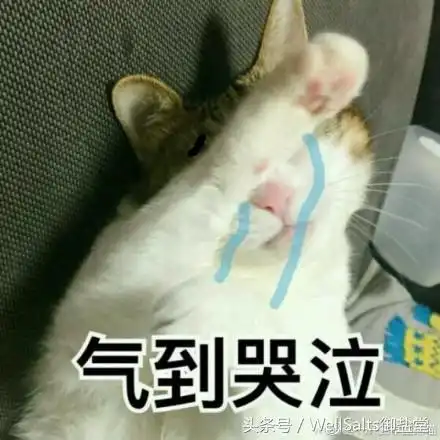 躺着也中枪网友评选出渣男渣女爱用头像和网名,看看你中枪没
