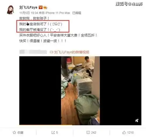 刘飞儿店铺倒闭,双11甩卖2000张10g照片,粉丝搞笑评论破防
