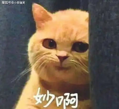 搞笑gif趣图哥们,你真的不应该接,这是抛给女生们抢的啊
