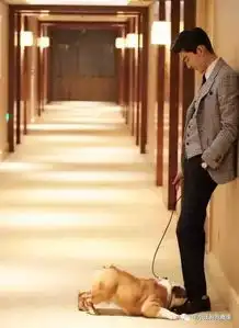 狗狗去世,张翰发微博自责我好后悔没有多陪陪你
