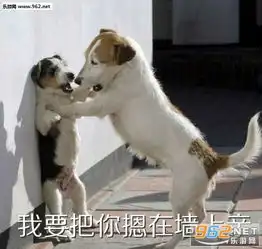 摁在墙上亲搞笑图片我要把你摁在墙上亲表情包下载乐游网游戏下载
