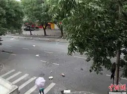 北京迎强对流天气狂风大作大树被连根拔起5201449旅游图片库大视野
