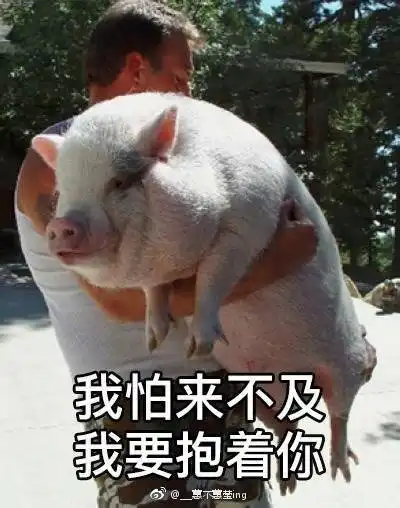 上海禁开学两周内摸底考,学校把考试时间改8.31
