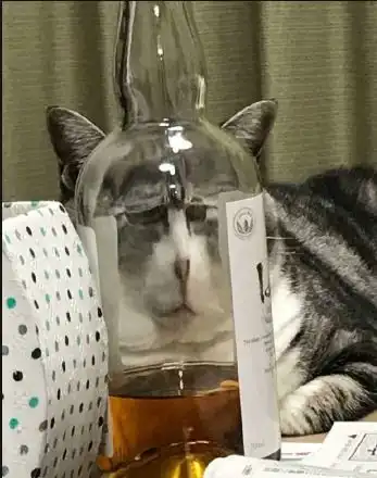 真是的,结婚为什么不选好日子,非得下雨天结婚老婆
