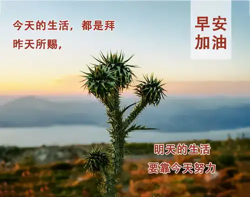 最新早安图片祝福语天气炎热注意防暑表情包带字动图图片
