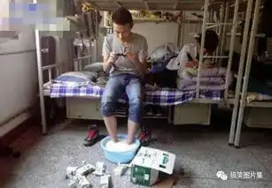 敢不敢了
