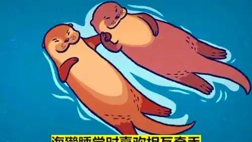 关于这个世界,看似很荒谬但却真实存在的12个有趣冷知识
