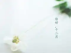 2019感恩节搞笑说说配图感恩节朋友圈说说幽默句子
