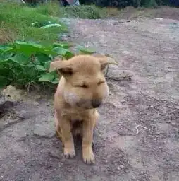 晒晒朋友圈那些搞笑的图片
