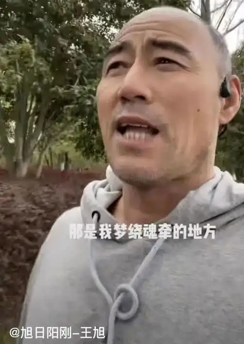 旭日阳刚,终于为自己的狂妄付出了代价
