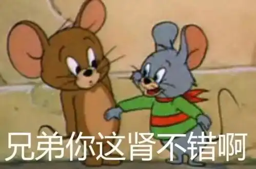 这是最全的猫和老鼠表情包快来抱走吧
