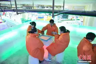 重庆市民穿棉大衣坐冰窖里打麻将
