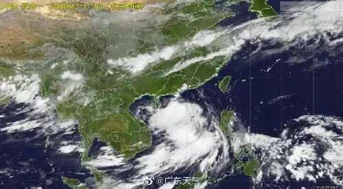 最大风力12级台风鹦鹉将正面袭击广东大风大雨今晚到货
