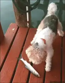 蚌埠逗美女,你那一眼的风情,深深地吸引了我
