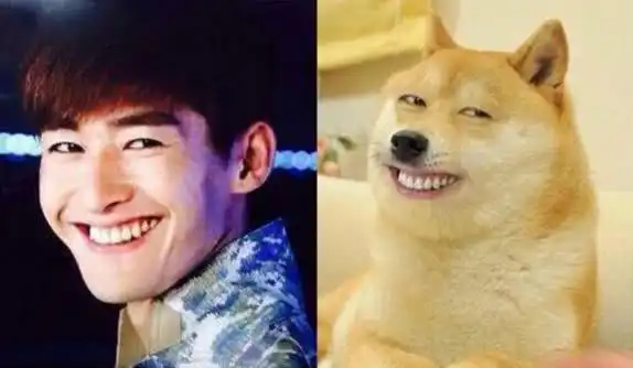 那些年与明星撞脸的狗狗们,真的笑skr人了
