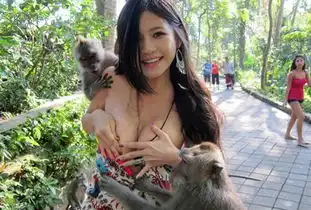 猴子也好色盘点女游客的尴尬瞬间
