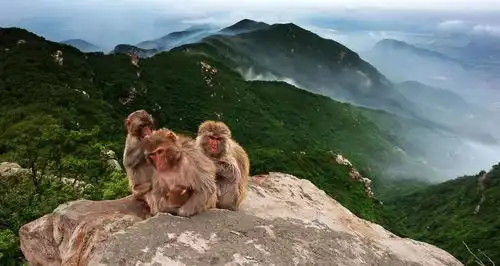 再上5天班,厦门人集体放假这些景区通通免费还有
