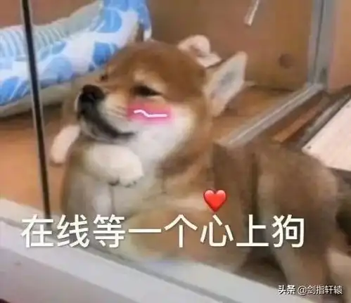 搞笑段子直男们发消息到底能够有多么的敷衍,代入感也太强了吧
