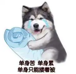 约吗ai红娘驾到,脱单不是梦
