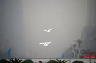 组照雾霾奇观
