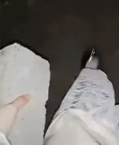 搞笑gif完了,好像发现了一个不该发现的秘密
