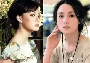 娱乐圈中长相酷似的明星,如今竟有这么大差别
