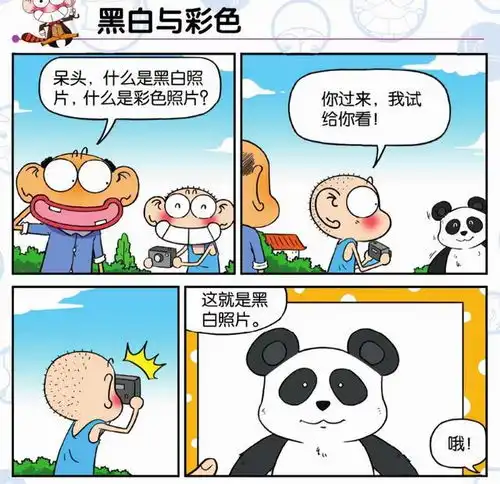 爆笑校园阿呆,什么是黑白照片,什么是彩色照片
