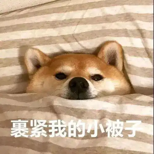 冷空气台风齐组队本周东莞最低气温跌至
